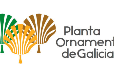 Galicia, la primera comunidad a nivel nacional con certificado de planta ornamental
