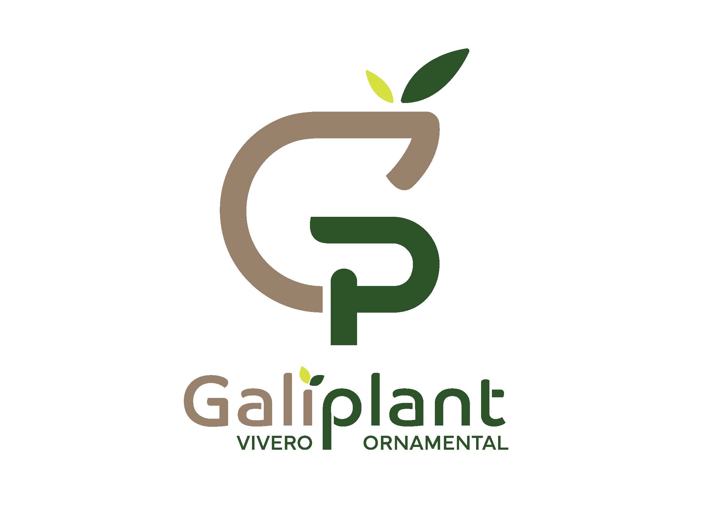 Galiplant