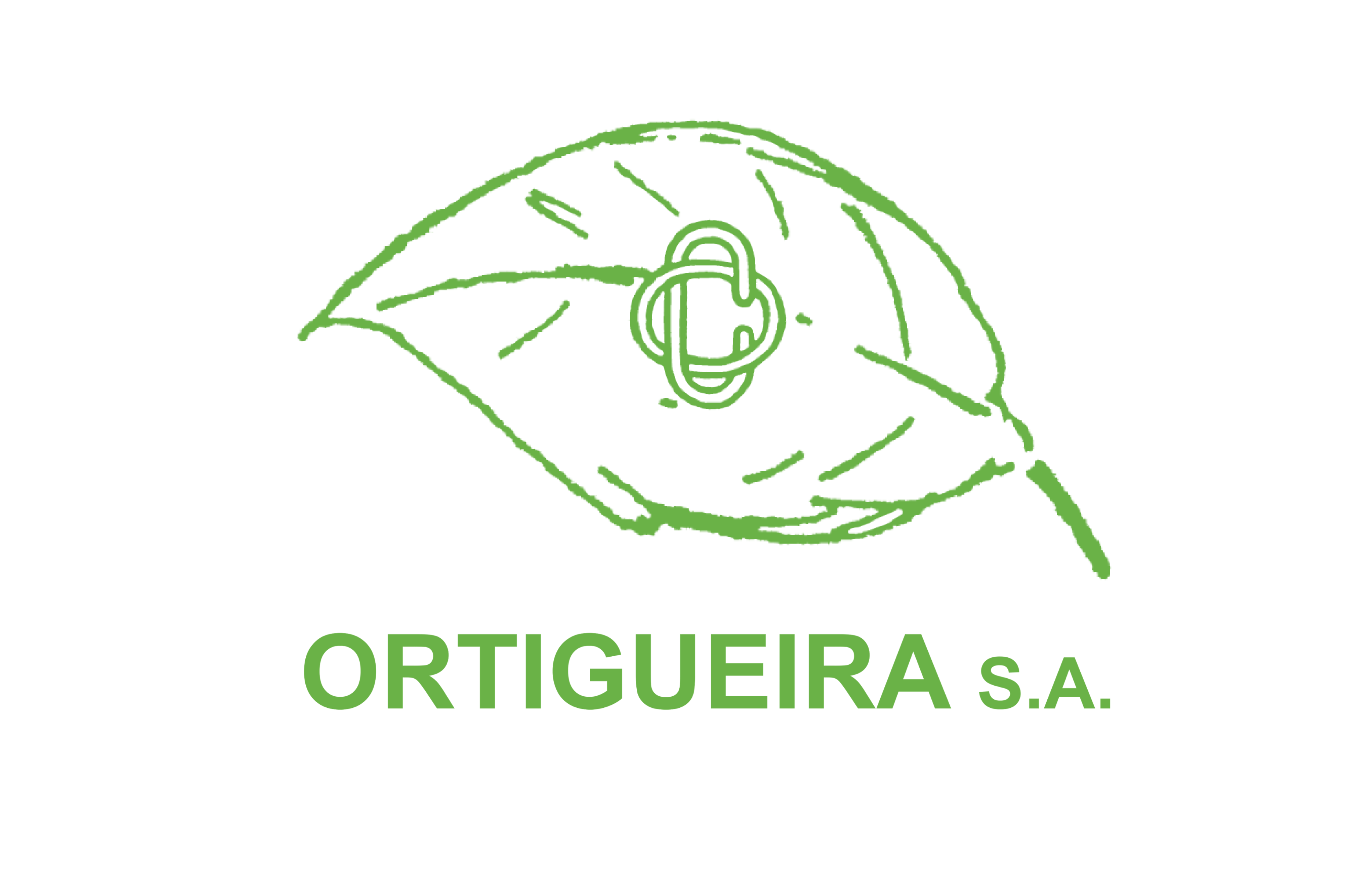 Ortigueira