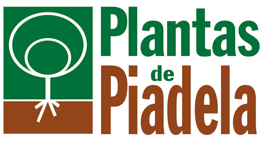 Plantas de Piadela