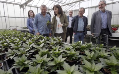 Visita de Ángeles Vázquez (Conselleira de Medio Rural) a Viveiros do Xas, S.L.