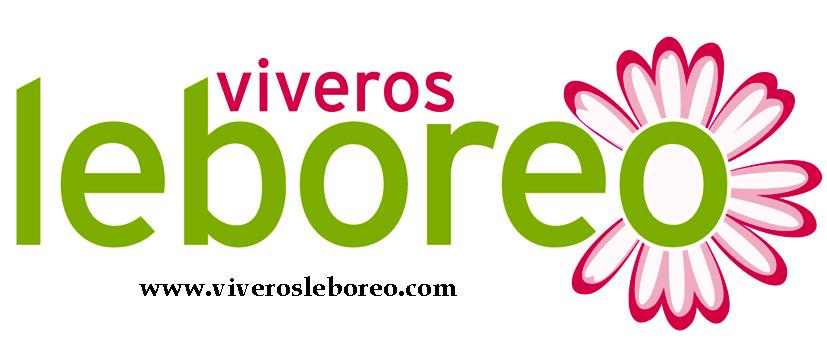 Viveros Leboreo