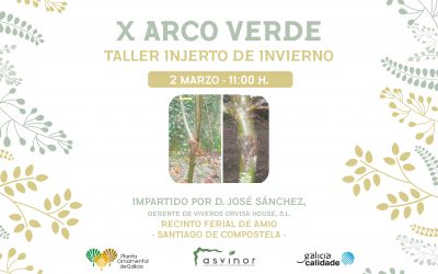 2 de marzo, 11.00 horas, Taller Injerto de Invierno