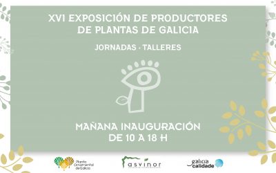 X Feria Arco Verde abre sus puertas mañana jueves en Amio