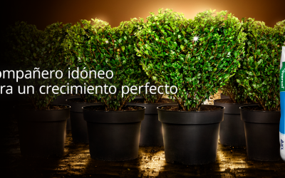 Universol, el compañero idóneo para un crecimiento perfecto de las plantas ornamentales