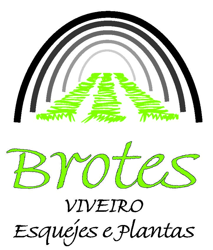 Brotes, S.L.