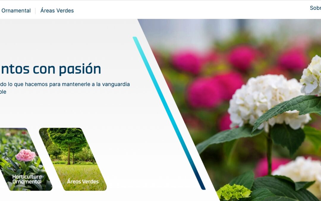 ICL lanza su nueva web “ICL Growing Solutions” para ser una referencia digital en información técnica en horticultura ornamental y áreas verdes