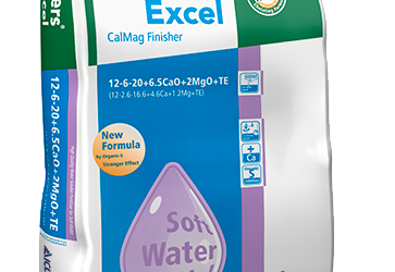 La alta salinidad del agua en los viveros aconseja el uso de fertilizantes que no incrementen la conductividad como  Osmocote ® y Peters ®